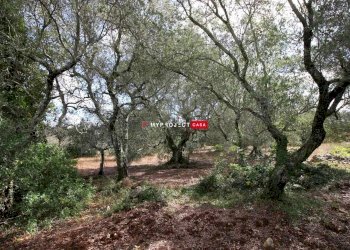 Trullo Pozzo Salerno, Martina Franca - foto 17