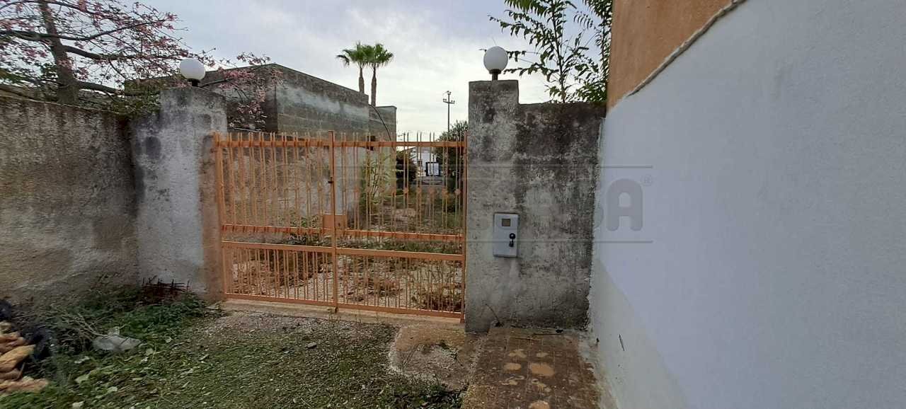 401628654_717580943751142_6413071448282421949_n.jp - Terreno agricolo contrada casazze, Marsala - foto 1