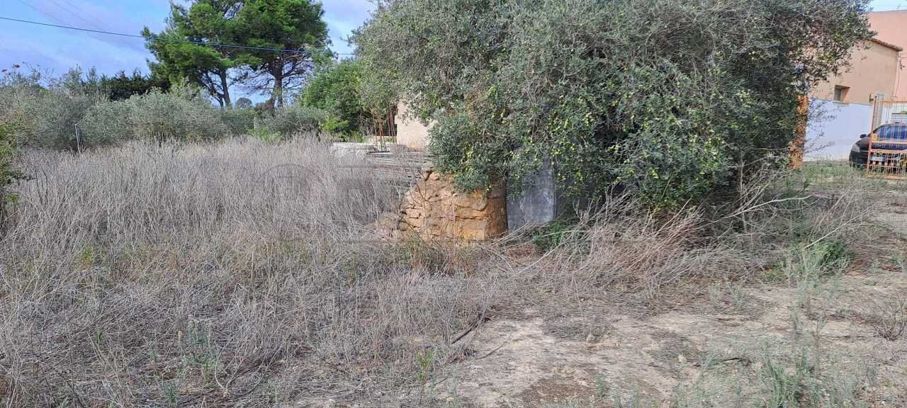 401591369_717581240417779_1379496798509434106_n.jp - Terreno agricolo contrada casazze, Marsala - foto 2
