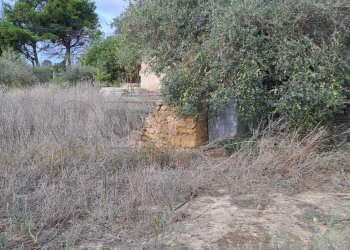 401591369_717581240417779_1379496798509434106_n.jp - Terreno agricolo contrada casazze, Marsala - foto 2