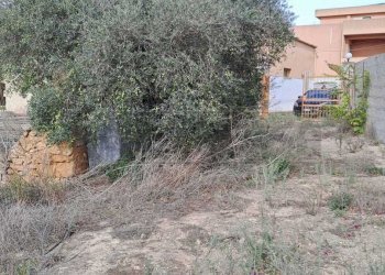 401600771_717581107084459_5983879120510183962_n.jp - Terreno agricolo contrada casazze, Marsala - foto 4