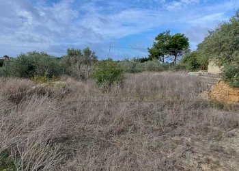 401686303_717581197084450_8631208214304899646_n.jp - Terreno agricolo contrada casazze, Marsala - foto 6