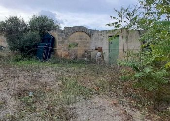 402227473_717581067084463_4604294982199001040_n.jp - Terreno agricolo contrada casazze, Marsala - foto 9