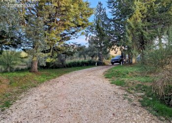 04.jpg - Casale Vocabolo Mercato Alto, Paciano - foto 4