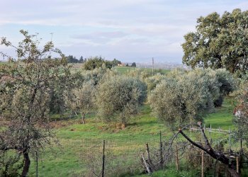 24.jpg - Casale Vocabolo Mercato Alto, Paciano - foto 24