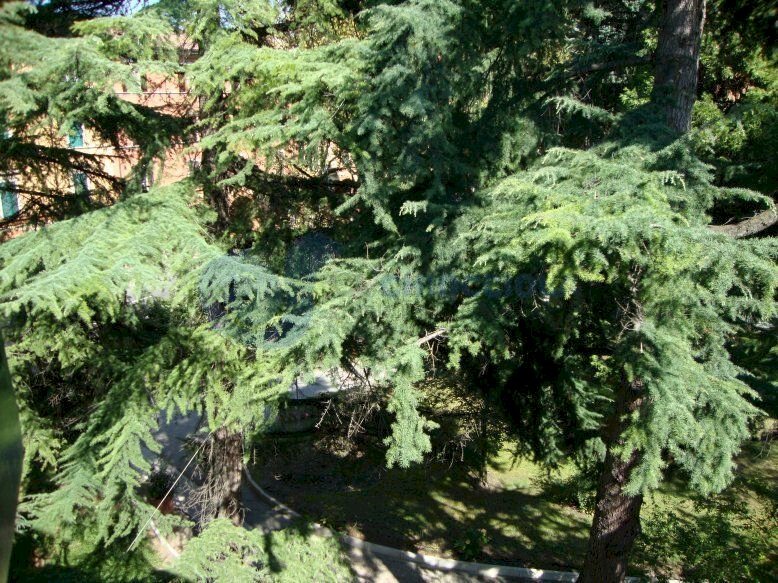 DSC08745.JPG - Four-room apartment VIA SARAGOZZA, Bologna - photo 2