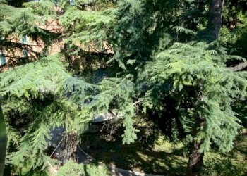 DSC08745.JPG - Four-room apartment VIA SARAGOZZA, Bologna - photo 2