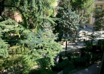 DSC08746.JPG - Four-room apartment VIA SARAGOZZA, Bologna - photo 19