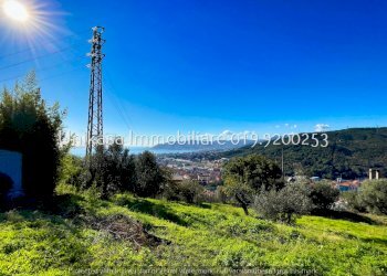 IMG_7462.jpeg - Terreno edificabile Via San Lorenzo, Savona - foto 3