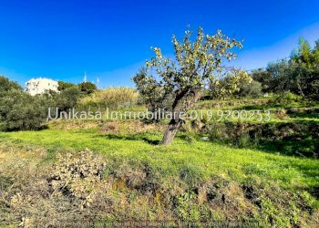 IMG_7456.jpeg - Terreno edificabile Via San Lorenzo, Savona - foto 9