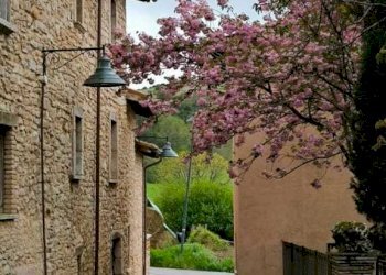 IMG-20240421-WA0009.jpg - Terratetto - Terracielo Frazione Rasenna 1, Visso - foto 14