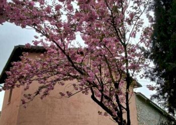 IMG-20240421-WA0010.jpg - Terratetto - Terracielo Frazione Rasenna 1, Visso - foto 25