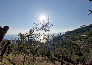 Vista - Appartamento Sant'Andrea di Rovereto, Chiavari - foto 8