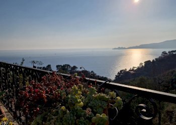 Vista - Appartamento Sant'Andrea di Rovereto, Chiavari - foto 10