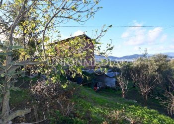 14.jpg - Rustic Via Celso 29b, Fosdinovo - photo 14