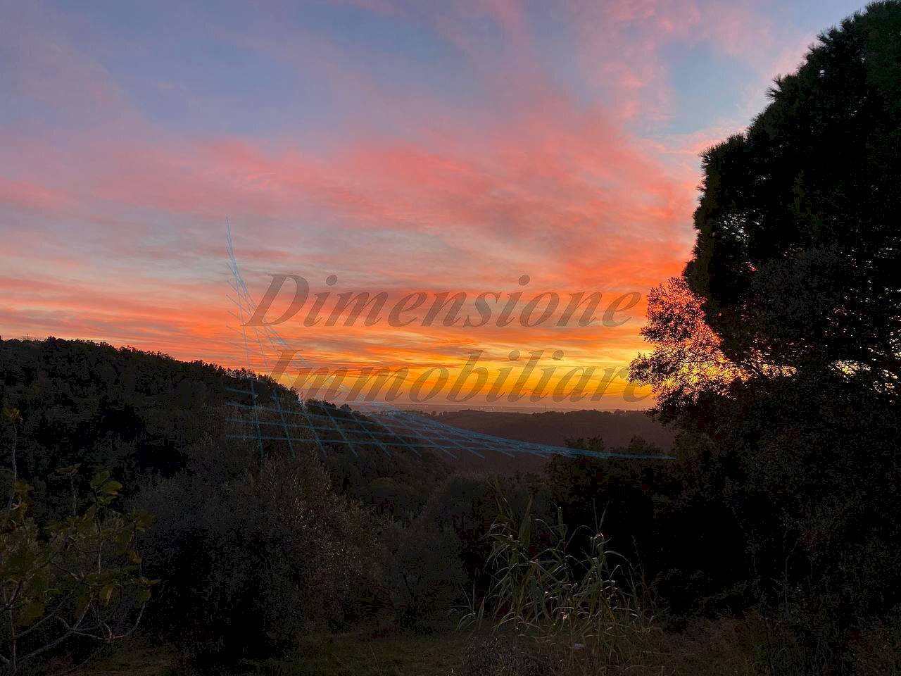 photo_2023-11-14_21-56-44 (2).jpg - Terreno agricolo Via Roma 16, Riparbella - foto 1