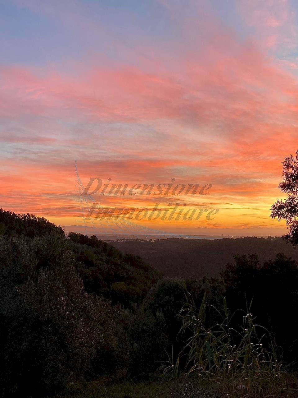 photo_2023-11-14_21-56-46.jpg - Terreno agricolo Via Roma 16, Riparbella - foto 2