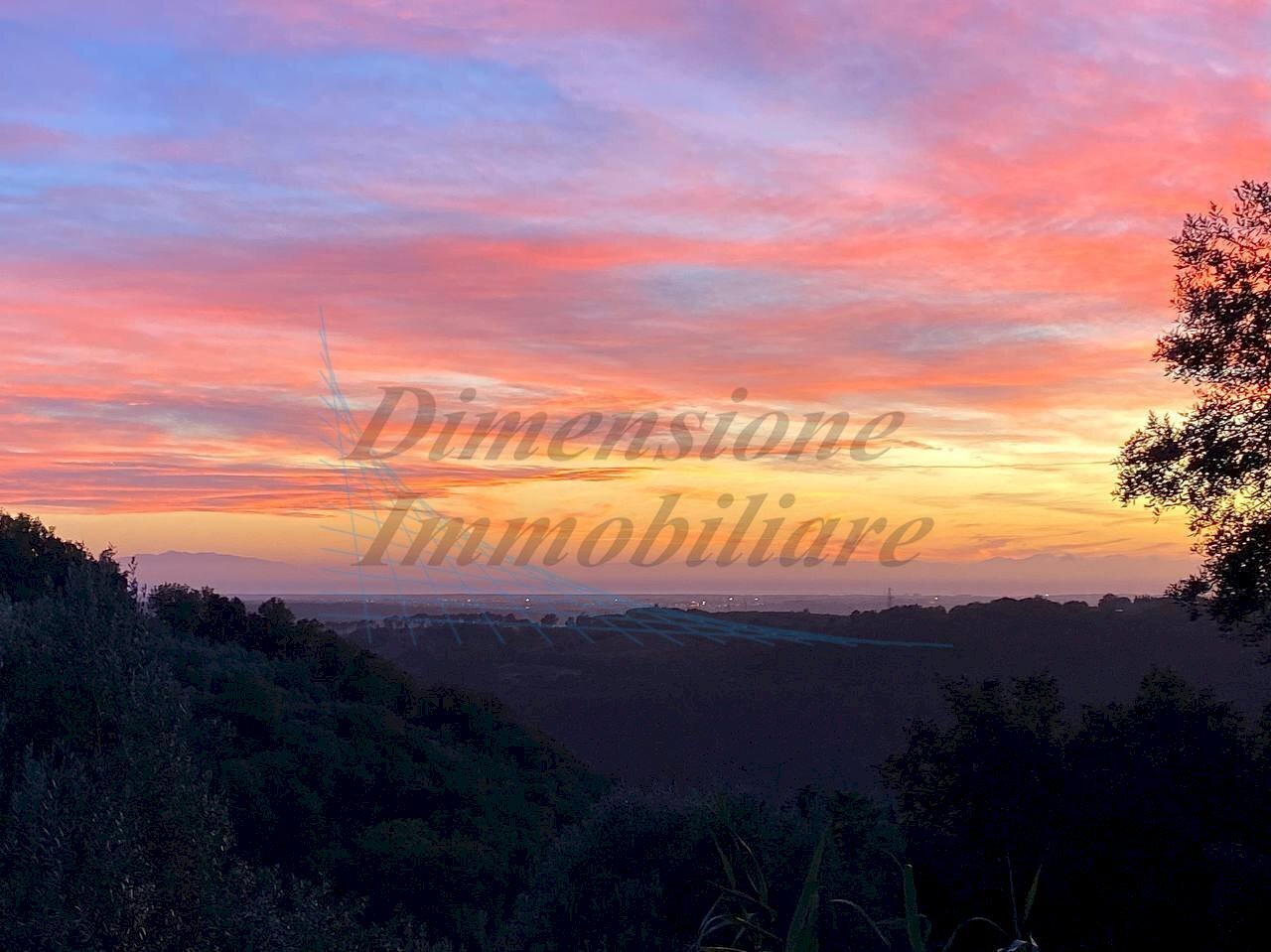 photo_2023-11-14_21-56-48.jpg - Terreno agricolo Via Roma 16, Riparbella - foto 3