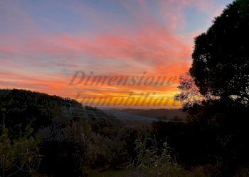 photo_2023-11-14_21-56-44 (2).jpg - Terreno agricolo Via Roma 16, Riparbella - foto 1