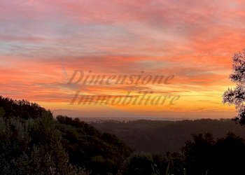 photo_2023-11-14_21-56-46.jpg - Terreno agricolo Via Roma 16, Riparbella - foto 2