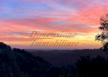 photo_2023-11-14_21-56-48.jpg - Terreno agricolo Via Roma 16, Riparbella - foto 3