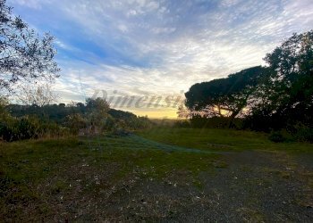 photo_2023-11-14_21-56-38.jpg - Terreno agricolo Via Roma 16, Riparbella - foto 4