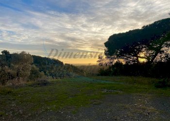 photo_2023-11-14_21-56-37.jpg - Terreno agricolo Via Roma 16, Riparbella - foto 11
