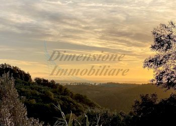 photo_2023-11-14_21-56-40 (2).jpg - Terreno agricolo Via Roma 16, Riparbella - foto 13