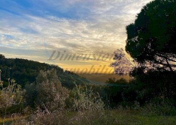 photo_2023-11-14_21-56-39.jpg - Terreno agricolo Via Roma 16, Riparbella - foto 14