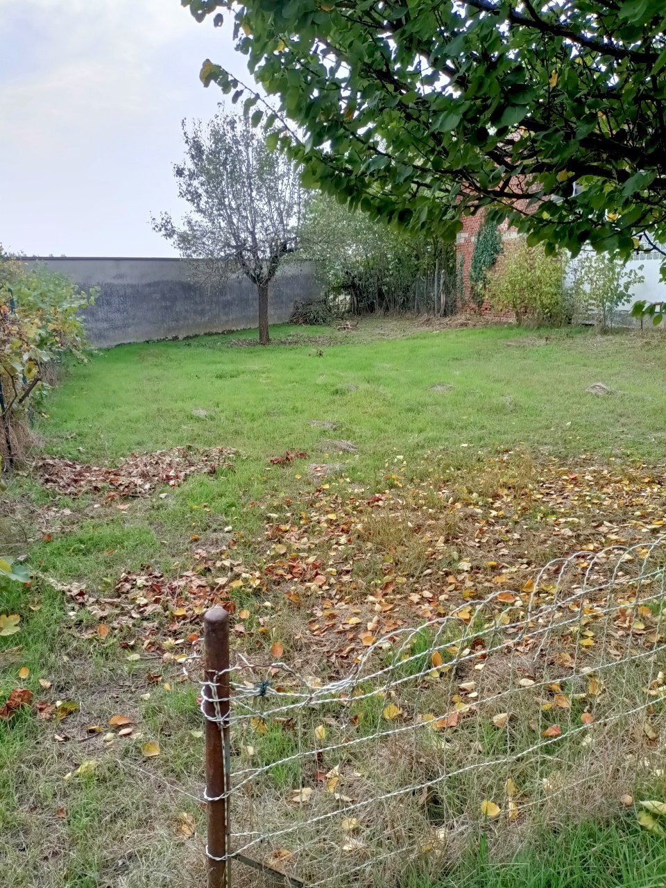 Terreno - Rustico Via Felice Cavallotti, Pieve Porto Morone - foto 2