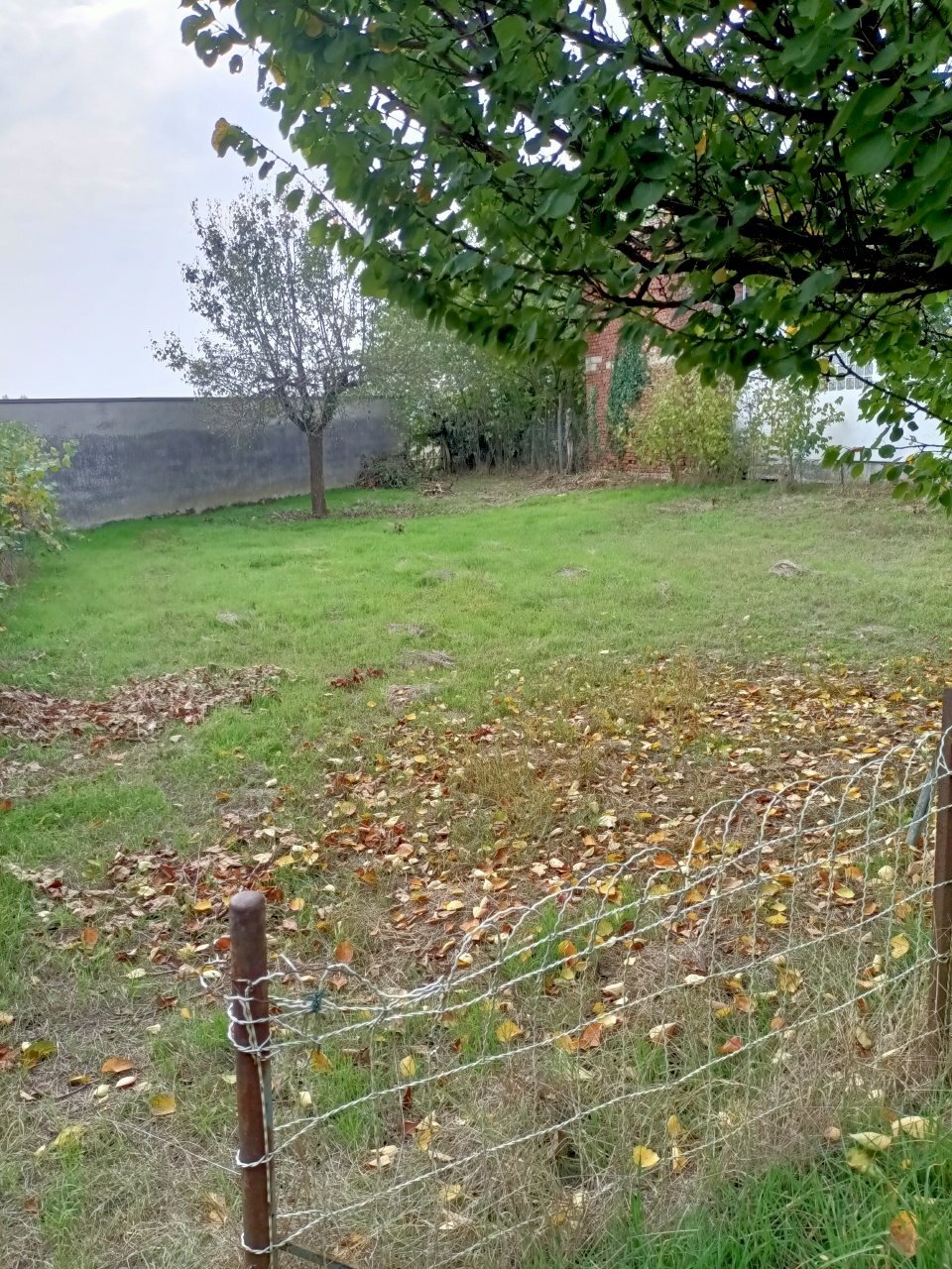 Terreno - Rustico Via Felice Cavallotti, Pieve Porto Morone - foto 3