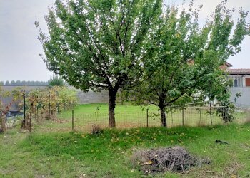 giardino - Rustico Via Felice Cavallotti, Pieve Porto Morone - foto 10