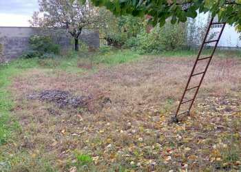 terreno - Rustico Via Felice Cavallotti, Pieve Porto Morone - foto 27