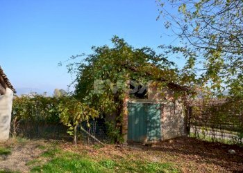 Rustico Bologna - foto 7