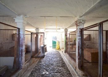 Rustico Bologna - foto 22