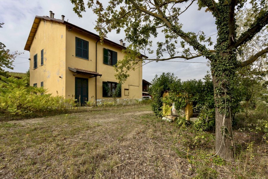 Azienda agricola Nizza Monferrato - foto 3