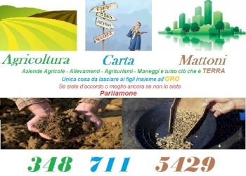 Farm Nizza Monferrato - photo 6