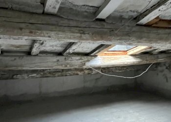 IMG_5271.jpeg - Appartamento Jesi - foto 6