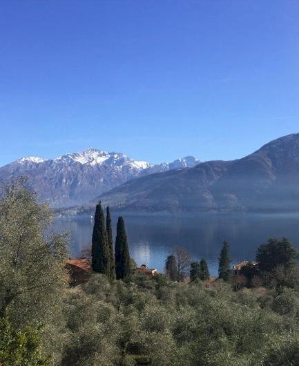 Terreno edificabile Tremezzina - foto 3