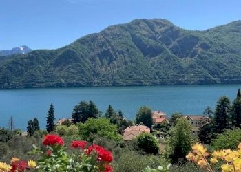 Terreno edificabile Tremezzina - foto 6