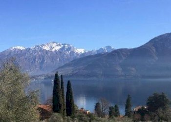 Terreno edificabile Tremezzina - foto 3