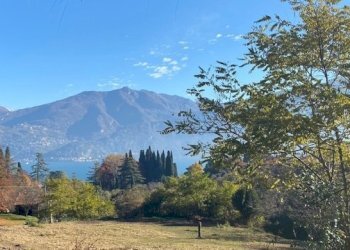 Proprieta - Terreno edificabile Tremezzina - foto 1