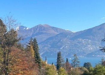 Proprieta - Terreno edificabile Tremezzina - foto 3