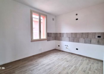 20231109_143534.jpg - Villa Trifamiliare SP16 78, Parma - foto 8