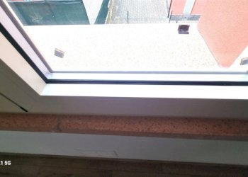 20231109_143601_renamed_2669.jpg - Villa Trifamiliare SP16 78, Parma - foto 10