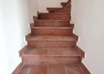 20231109_143743.jpg - Villa Trifamiliare SP16 78, Parma - foto 15