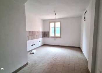 20231109_144254.jpg - Villa Trifamiliare SP16 78, Parma - foto 23