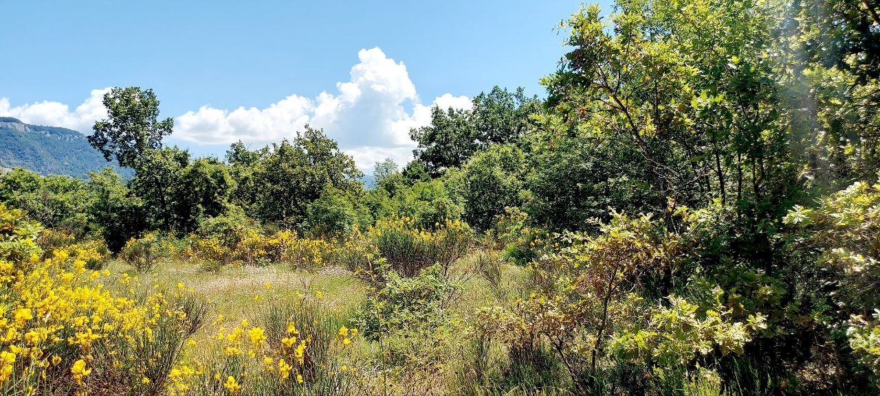 Building land C.da Colle Palumbo, Isernia - photo 3