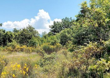 Building land C.da Colle Palumbo, Isernia - photo 3