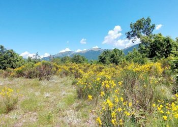 Building land C.da Colle Palumbo, Isernia - photo 4
